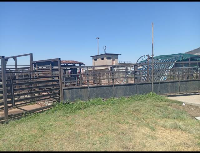 93,766M² FARM FOR SALE IN ROODS GARDENS